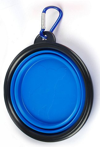 Silicone Bowl